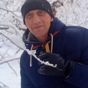 Дмитрий, 52 года, Полярные Зори