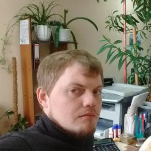 Николай, 36 лет, Майкоп