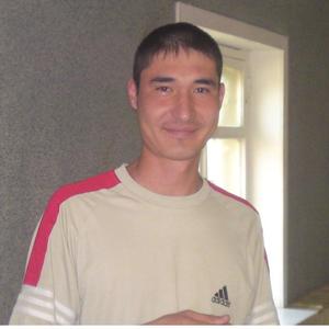 Сергей, 42 года, Мирный