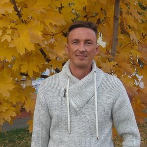 Сергей, 47 лет, Губкин