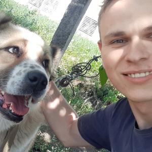Adrian, 24 года, Молдовановка