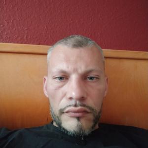 Дмитрий, 36 лет, Светлогорск
