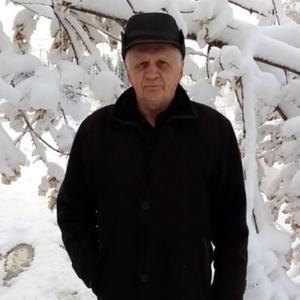 Николай, 56 лет, Еманжелинск