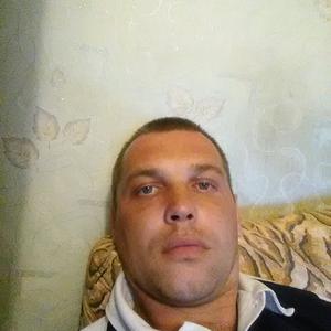 Владимир, 39 лет, Гай