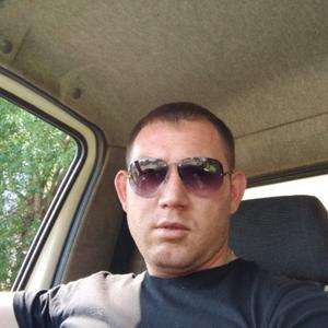 Михаил, 37 лет, Глазов