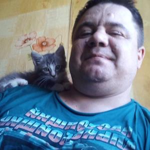 Евгений, 46 лет, Петрозаводск
