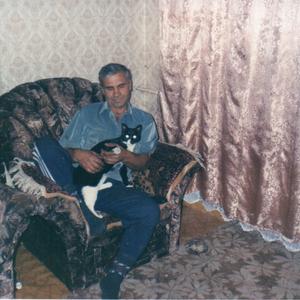 Миша, 66 лет, Хабаровск