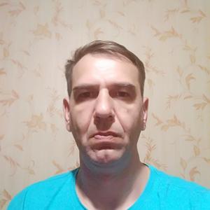 Дмитрий, 44 года, Советск