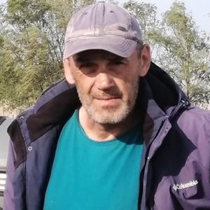 Владимир, 48 лет, Прохладный