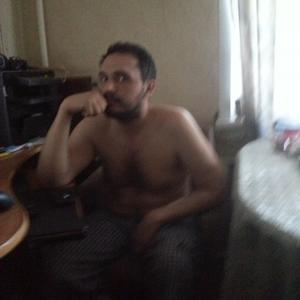Dima, 42 года, Тула