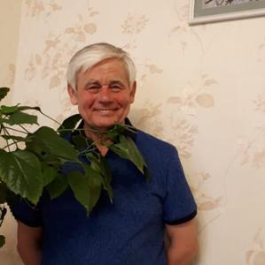 Виктор, 68 лет, Набережные Челны