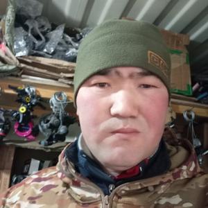 Рыскулбек, 33 года, Бишкек