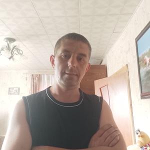 Александр, 39 лет, Тула