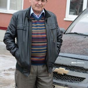Геннадий, 73 года, Бугульма