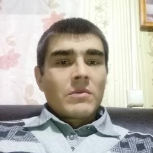 Александр, 41 год, Тобольск