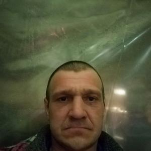 Серж, 47 лет, Дальнегорск