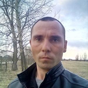Антон Голубьев, 27 лет, Свободный