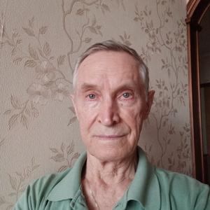 Владимир, 83 года, Москва