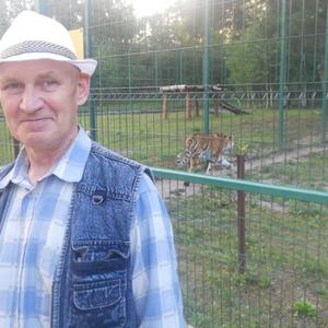 Владимир, 70 лет, Белгород