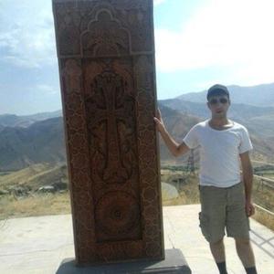 Davit, 35 лет, Armenia