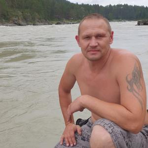 Andrey, 43 года, Бийск
