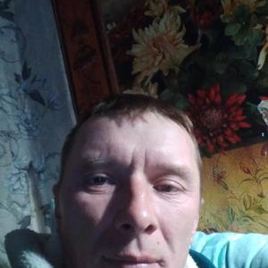 Mikhail, 43 года, Дунай