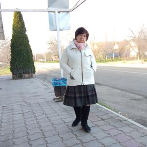 Лариса, 67 лет, Краснодар