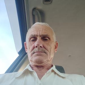 Александр, 67 лет, Омск
