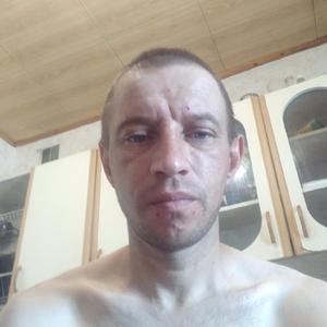 Антон, 37 лет, Белово