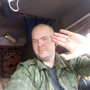 Анатолий, 35 лет, Донской