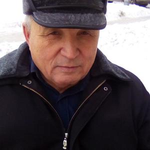 Валерий, 76 лет, Красноярск