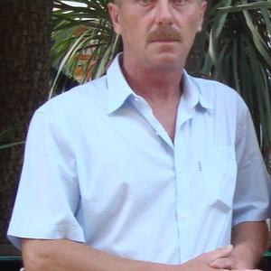 Владимир Митронин, 62 года, Тольятти