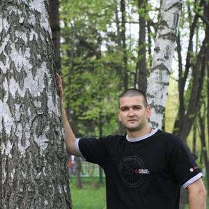 Павел Плахтиенко, 35 лет, Белгород