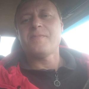Ренат, 42 года, Саранск