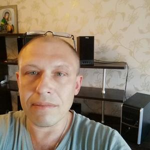 Владимир, 43 года, Волосово