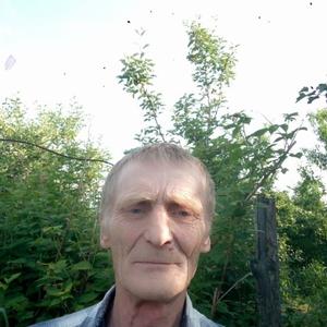 Василий Орлов, 63 года, Вышков