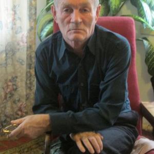 Владимир Овчинников, 74 года, Волгоград