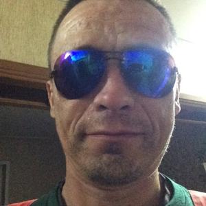 Дима, 42 года, Волчиха