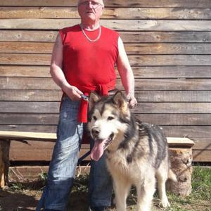 Alexandr, 66 лет, Пермь