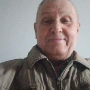 Парни в Тенекаево: Владимир, 69 - ищет девушку из Тенекаево