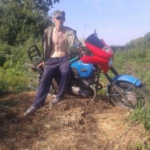 Александр, 33 года, Новоалтайск