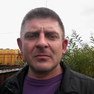 Алеша Папович, 47 лет, Зеленоград