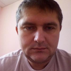 Дмитрий, 40 лет, Тула