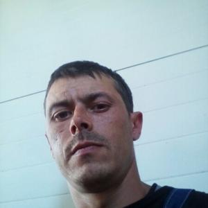 Сергей, 35 лет, Вологда