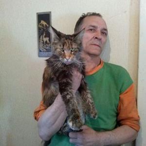 Роман Кутушев, 68 лет, Екатеринбург