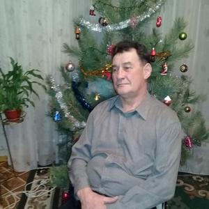Володя, 66 лет, Саратов