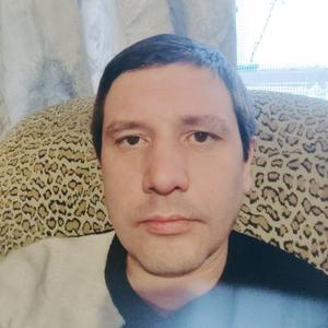 Николай, 38 лет, Нижняя Тура