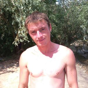 Александр, 40 лет, Камышин