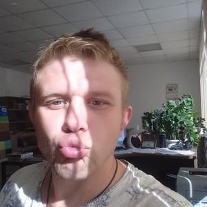 Илья, 37 лет, Богородск