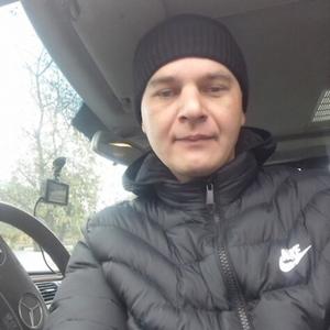 Владимир, 41 год, Прохладный